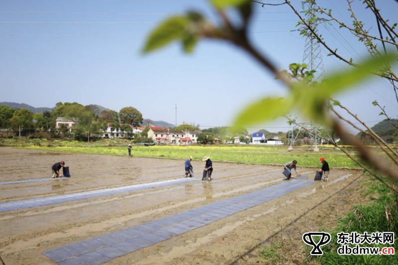 图片关键词 图片关键词