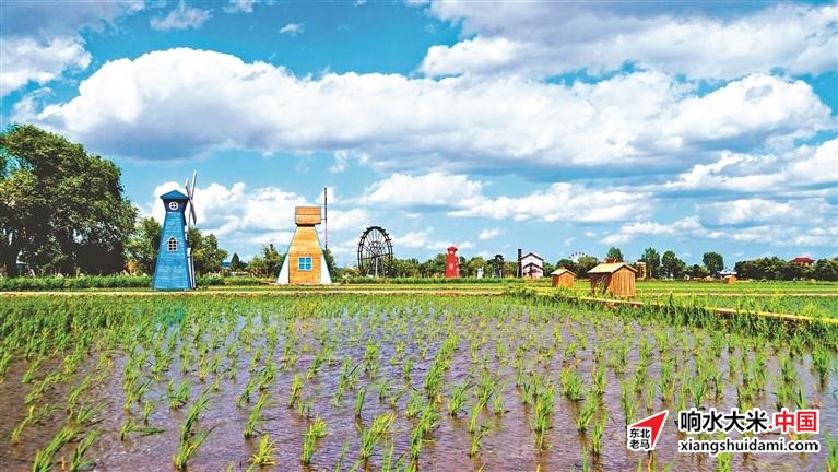 图片关键词 图片关键词