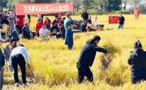 消费者从&ldquo;买袋米&rdquo;到&ldquo;有块田&rdquo;，定制农业让黑土地丰产又丰收