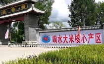 响水大米和五常大米哪个更好吃?
