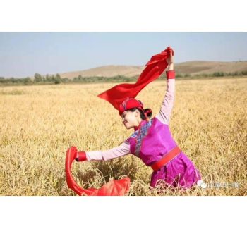 兴安盟大米 从&ldquo;好米&rdquo;到&ldquo;名米&rdquo;