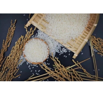 梅河大米国家地理标志保护示范区获批成立