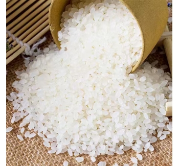 辽宁盘锦大米红海滩一号（锦稻109）介绍