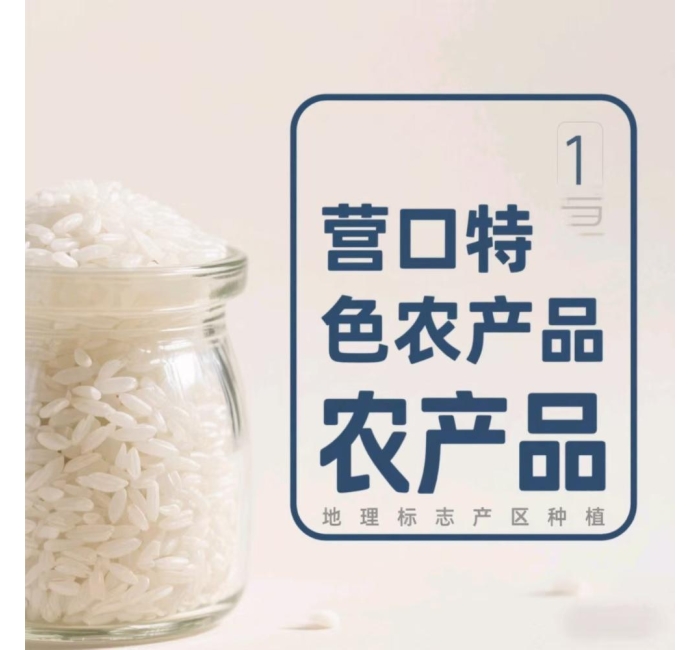 辽宁营口大米营粳1号的介绍