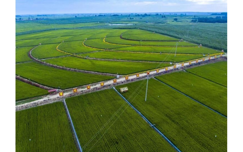 高质量推进高标准农田建设 为保障粮食安全加快农业农村现代化作出更大贡献