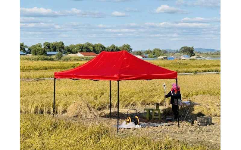 中国大米出现在日本商店显著位置 5公斤装中国大米定价约合人民币135元