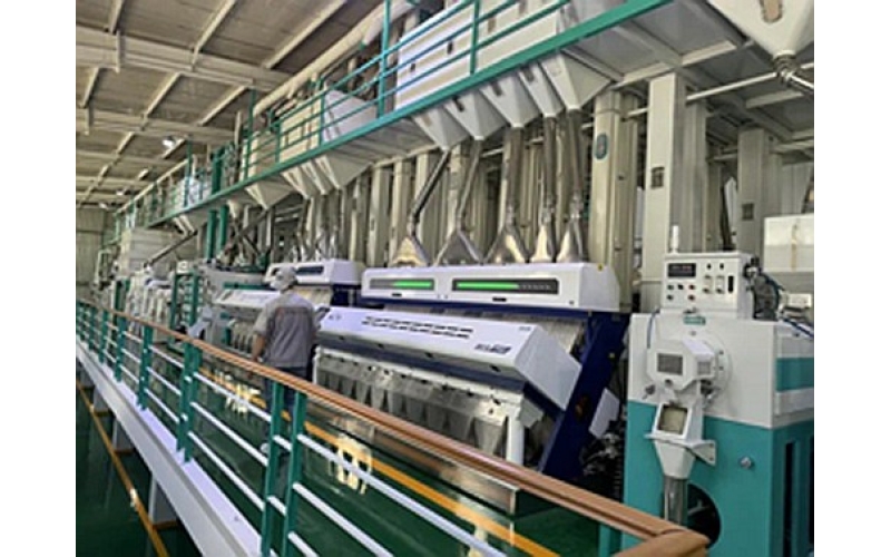 吉林大米十大地理标志品牌德惠大米：黑土地上的黄金稻穗