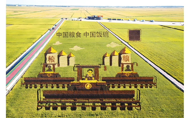 盘锦大米为什么说是东北大米中的佼佼者？