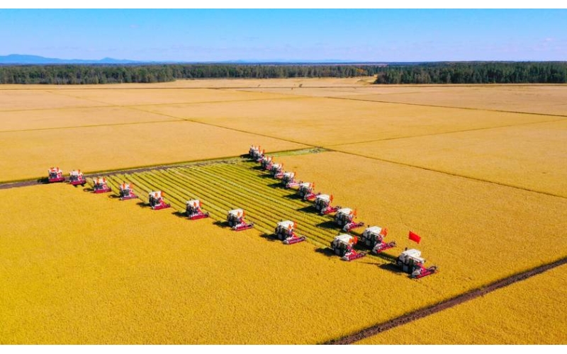 说说我国东北平原在农业方面的战略意义