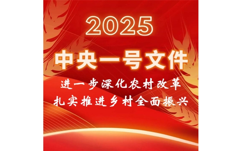 2025年中央一号文件（全文）进一步深化农村改革 扎实推进乡村全面振兴